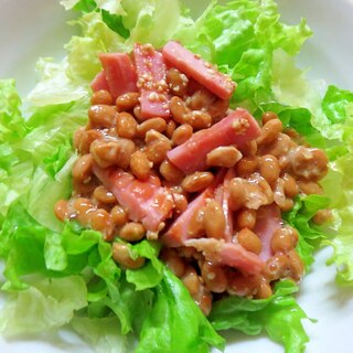 納豆サラダライス